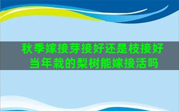 秋季嫁接芽接好还是枝接好 当年栽的梨树能嫁接活吗